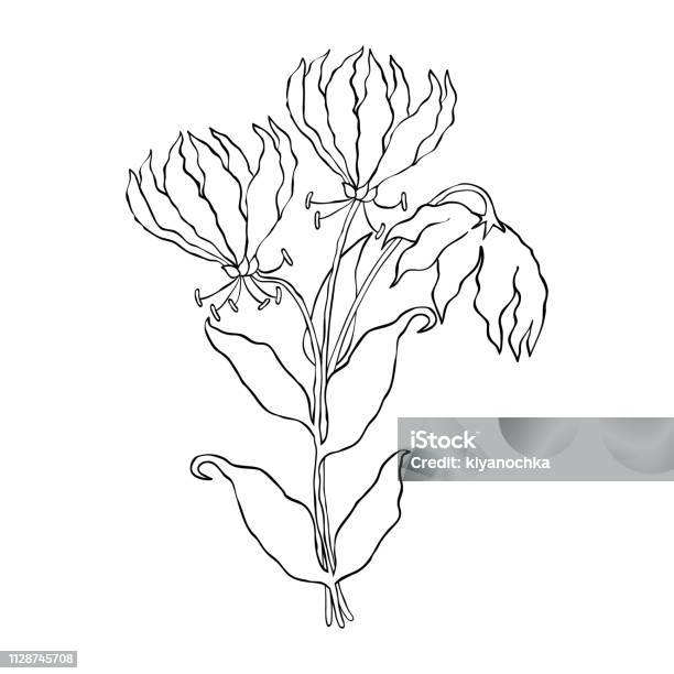 Hand Drawn Flowers Stock Illustration - Download Image Now - Abstract, Beauty, Blossom