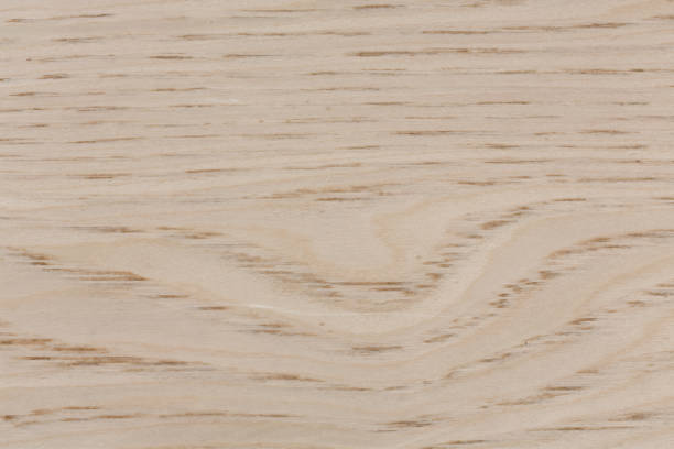 istock Bright natural oak background for your unique project. 1128748860