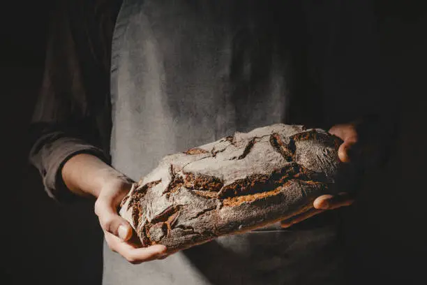 Baker or cooking chef holding fresh baked bread on dark grey background Closeup. Horizontal.