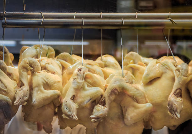 ganzen pochiertem hühner mit köpfe hängen an einem hainanese chicken rice hawker stall in singapur - city chicken stock-fotos und bilder