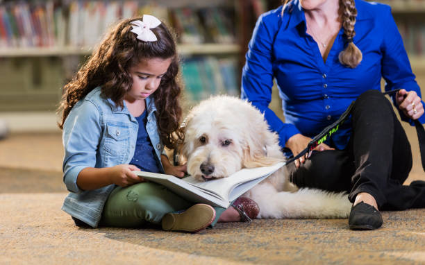 Hispanic girl reading in library with therapy dog