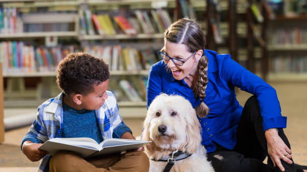istock Mixed race boy reading in library with therapy dog 1128755725
