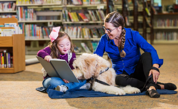 Girl with down syndrome in library with therapy dog An 8 year old girl with down syndrome reading in the library, sitting next to a therapy dog and trainer, a mature woman in her 50s. The goldendoodle is trained as a reading assistance dog. The child is smiling as she holds the book up for the dog to read. goldendoodle stock pictures, royalty-free photos & images