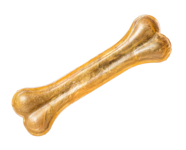 istock Dog bone food on white 1128757303