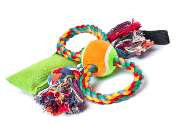 istock Dog toy on white 1128757476