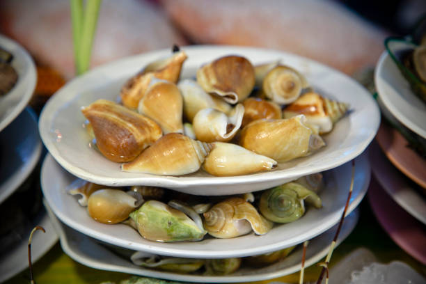 istock Dog Conch Sea Snail 1128762531
