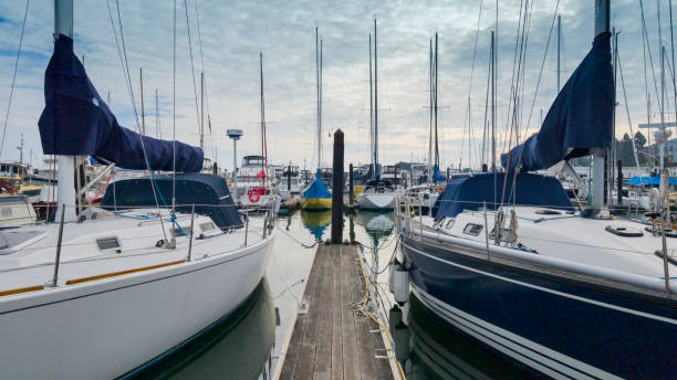 istock Docks on Sausalito with many boats. 1128765772