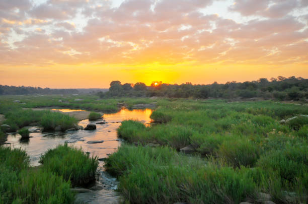 istock Sunrise at Kruger National Park 1128765833