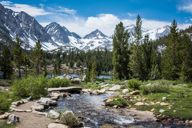 small creek in eastern sierra nevada mountains in california, along the john muir trail in little lakes valley heart lake in mono county. - nevada landscape rock tree imagens e fotografias de stock