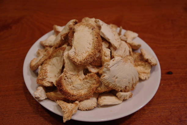 Dried Lion's Mane ( Hericium erinaceus ) Mushrooms on a plate. Close up of the prized culinary and medicinal mushrooms. stock photo