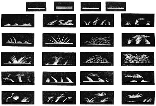 The first drawings of the sun's chromosphere showing types of solar flares and phenomenon observed from Magasin Pittoresque. Vintage etching circa mid 19th century.