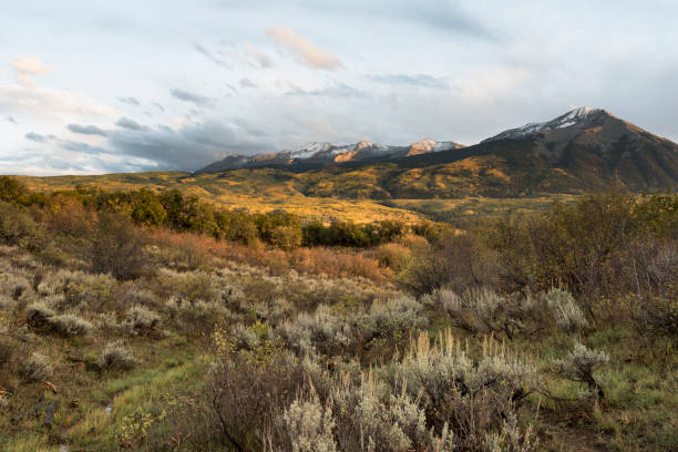 istock East and West Beckwith Mountains viewed from Kebler Pass Road. 1128777031