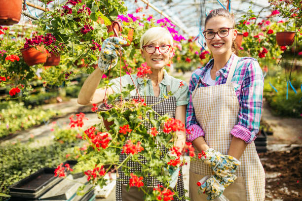 istock Florists working at botanical garden 1128778053