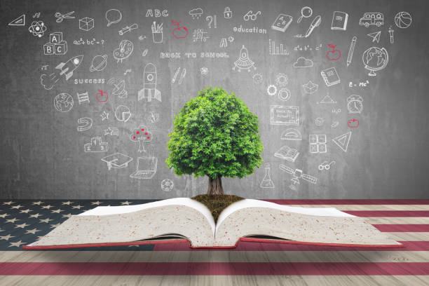 istock Tree of knowledge growing on open textbook with doodle onUSA flag wood table for educational investment and success concept 1128780799