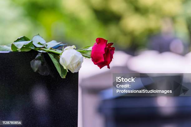 Flower On A Grave In A Cemetery Stock Photo - Download Image Now - Funeral, Cemetery, Flower