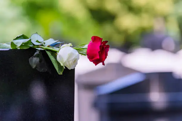 Close View of Headstone In Cemetery With Red Rose Flower. Concept Of Funeral, Death And Loss.