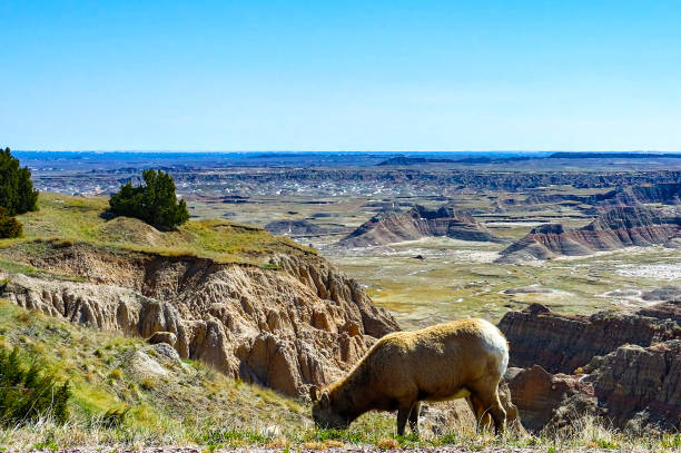 istock Badlands National Park, South Dakota 1128782714