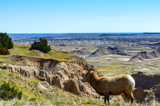 istock Badlands National Park, South Dakota 1128782803