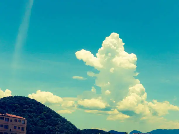 The clouds and their magnificent shapes