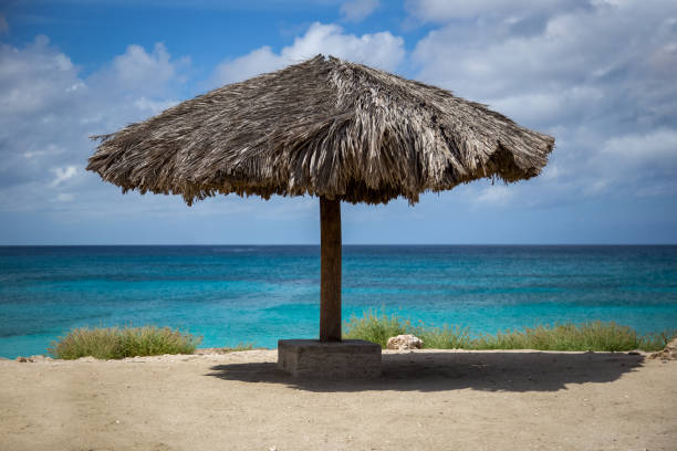 tropikalne widoki z chaty tiki - aruba honeymoon tourist resort vacations zdjęcia i obrazy z banku zdjęć