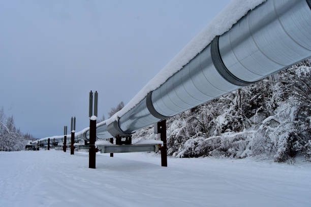 Snow-covered sections of the Trans Alaska Pipeline System on a winter day.