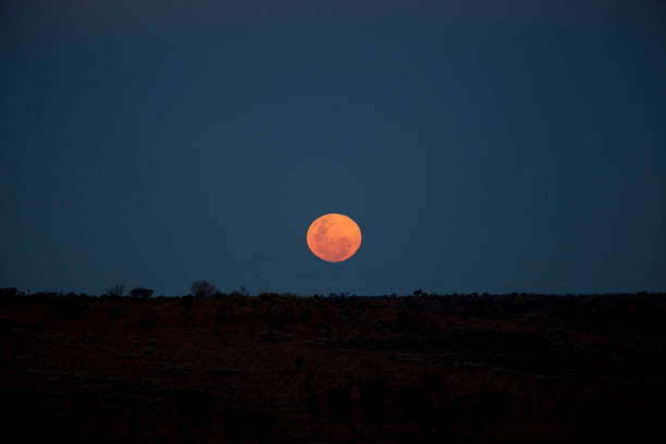 istock Supermoon, Northern Territory Australia 1128790706