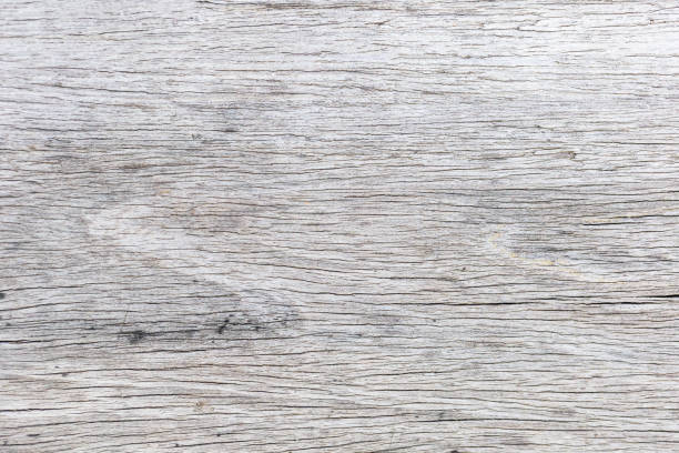 istock Abstract rustic surface white wood table texture background. Close up of rustic wall made of white wood table planks texture. Rustic white wood table texture background empty template for your design. 1128792090