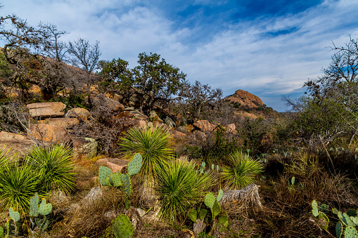 An Amazing View of Turkey Peak and Beautiful Western Desert Plants on the Amazing Granite Stone Slabs and Boulders of the Legendary Enchanted Rock, a Small Dome Mountain, Texas.