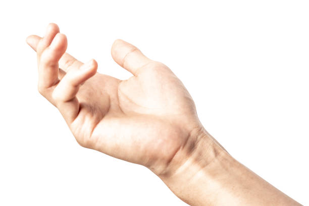 istock Hand open and ready to help or receive. Gesture isolated on white background with clipping path. 1128796244