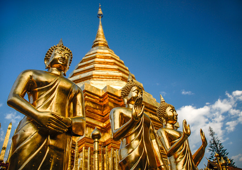 Beautiful golden buildings and statues within the temple complex..