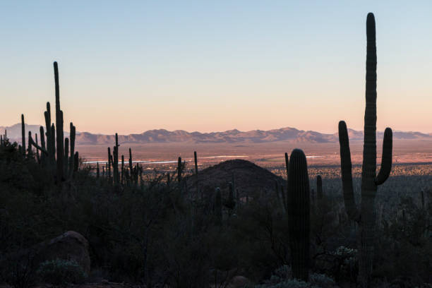istock Sunset at Saguaro National Park 1128800195