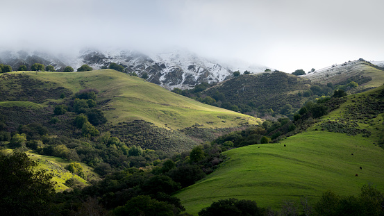 Vista panorámica de nieve raro caer en las colinas de la bahía del este photo