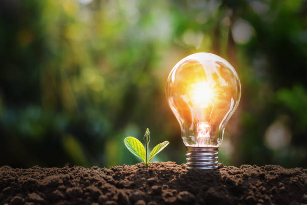 istock lightbulb with small plant on soil and sunshine. concept saving energy in nature 1128803113