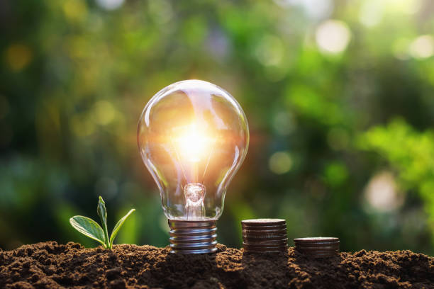 istock light bulb with coins and young plant. saving concept 1128803118