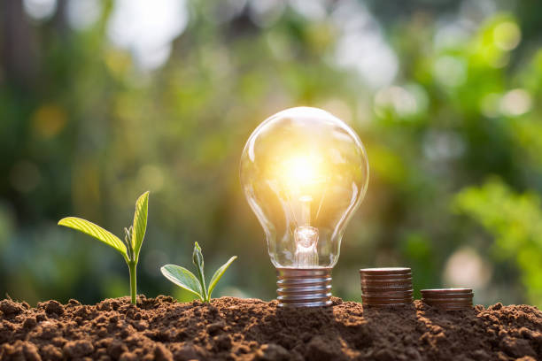 istock light bulb with coins and young plant. saving concept 1128803123