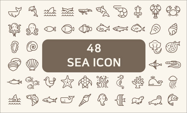ilustraciones, imágenes clip art, dibujos animados e iconos de stock de conjunto de 48 vida marina y mar los iconos de vector. - pez