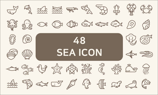 Set of 48 sea life and ocean Vector Icons. Contains such Icons as Nautical Creatures , sea food, sea, ocean, fish, coral, sea horse, seaweed, turtle And Other Elements.customize color, stroke width control , easy resize. water animal octopus sea stock illustrations