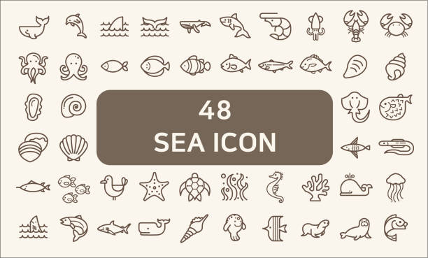 Set of 48 sea life and ocean Vector Icons. Contains such Icons as Nautical Creatures , sea food, sea, ocean, fish, coral, sea horse, seaweed, turtle And Other Elements.customize color, stroke width control , easy resize. shrimp seafood stock illustrations