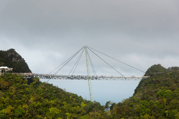 ponte de céu de langkawi, malásia - tropical rainforest elevated walkway pulau langkawi malaysia - fotografias e filmes do acervo