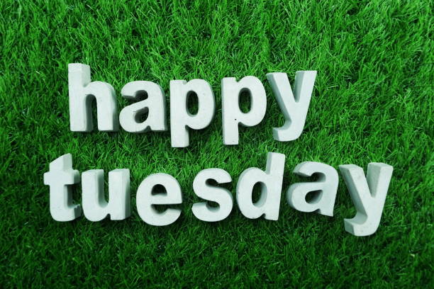 istock Happy Tuesday made from concrete alphabet 1128809332