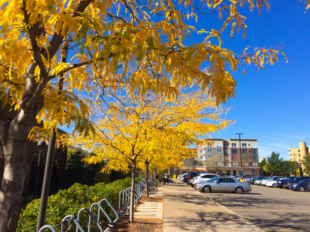 Autumn, City Street, Minneapolis, Minnesota, Street