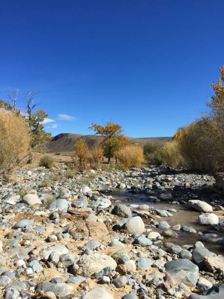 istock Pebble dried riverbed. Desert mountains river. Altai. Russia 1128812134