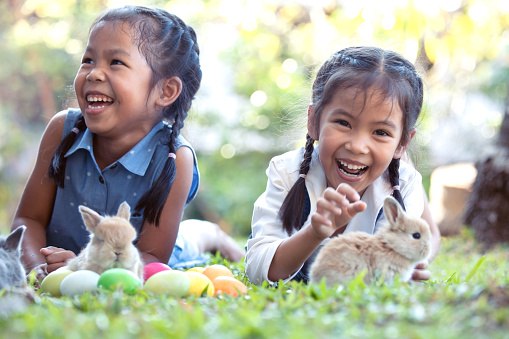 Happy asian child girls playing with little bunny rabbit with love and tenderness in the garden at easter egg hunt