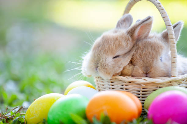 istock Cute little bunny sleeping in the basket and easter eggs in the meadow 1128821837