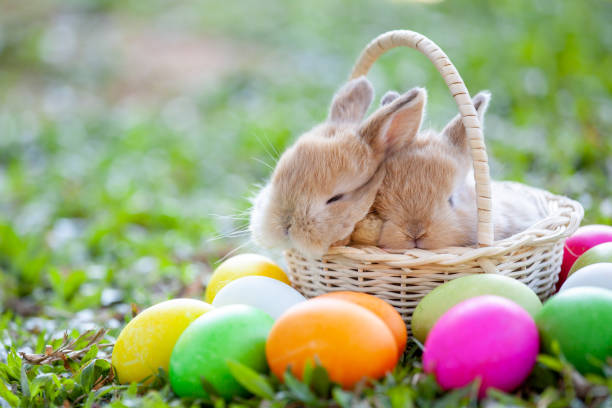 istock Cute little bunny sleeping in the basket and easter eggs in the meadow 1128821843