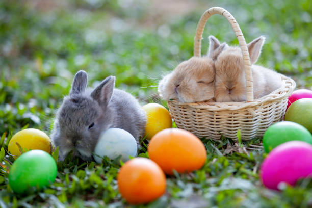 istock Cute little bunny and easter eggs in the meadow 1128821848