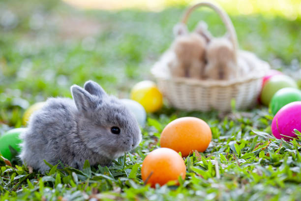 istock Cute little bunny and easter eggs in the meadow 1128821854