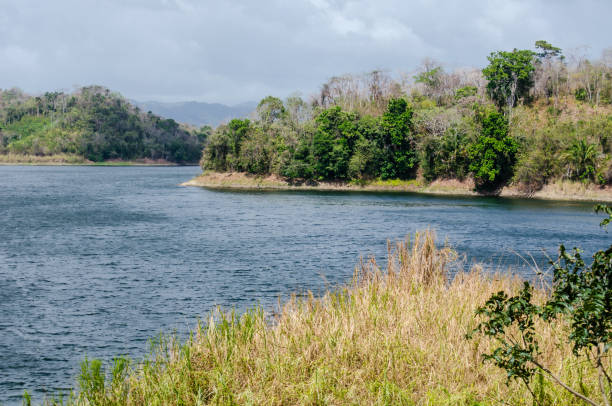 Bayano Lake is a man-made reservoir located in Eastern Panama. It was created by the damming of the River Bayano to built Bayano Hydroelectric Power in 1976.