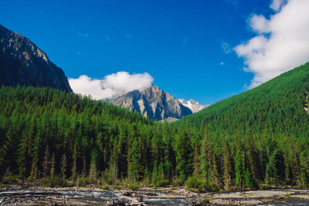 istock Stream along forest edge. Rocky ridge with snow behind hills with conifer forest. Clouds on top of huge snowy mountain range under blue sky. Giant rock. Atmospheric landscape of highland nature. 1128823249