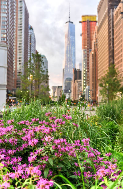 istock View of World Trade Center 1128823628